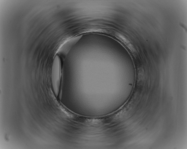 X0000097511377200803071815