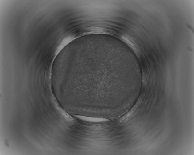 X0000097511378200803071815