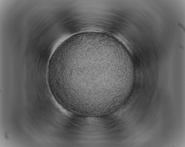 X0000097511379200803071815