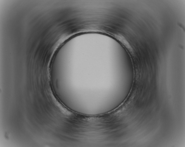 X0000097511380200803071815