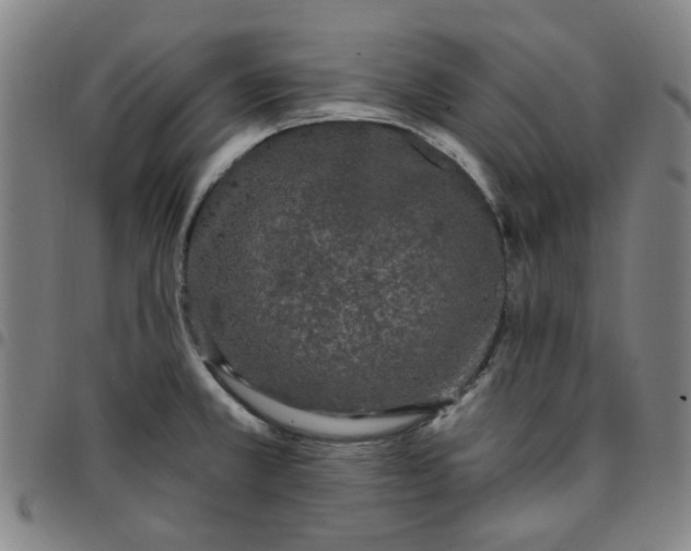 X0000097511381200803071815