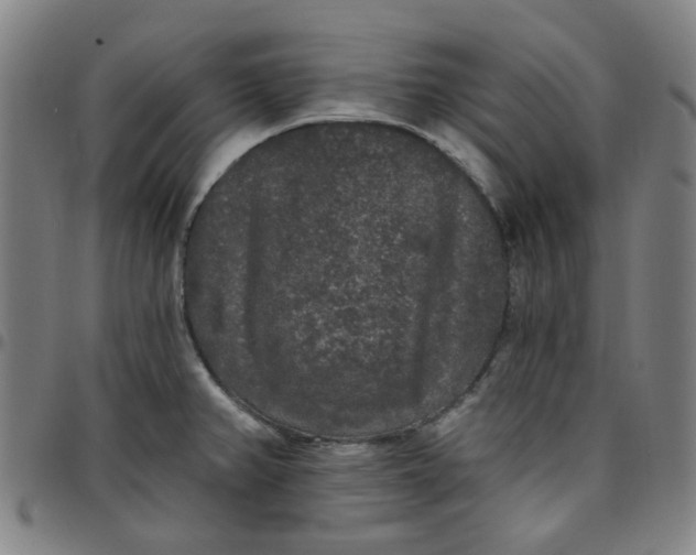 X0000097511382200803071815