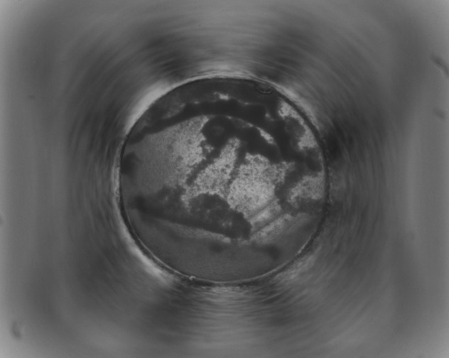 X0000097511383200803071815