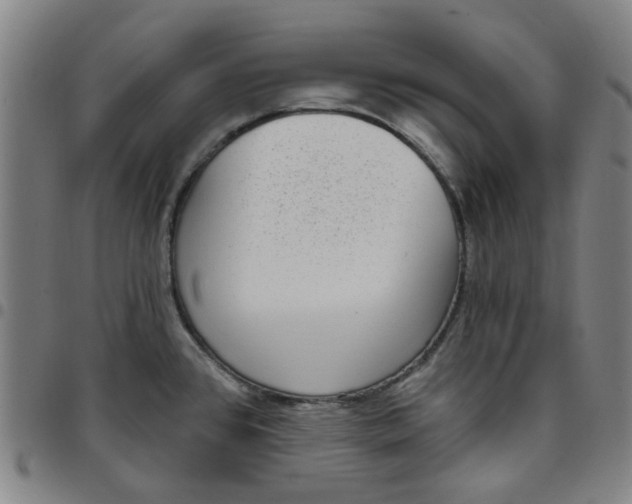 X0000097511384200803071815