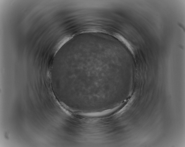 X0000097511385200803071815