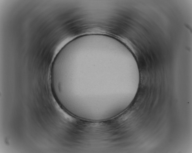 X0000097511387200803071815