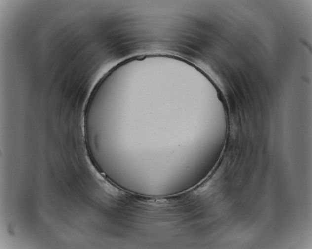 X0000097511388200803071815