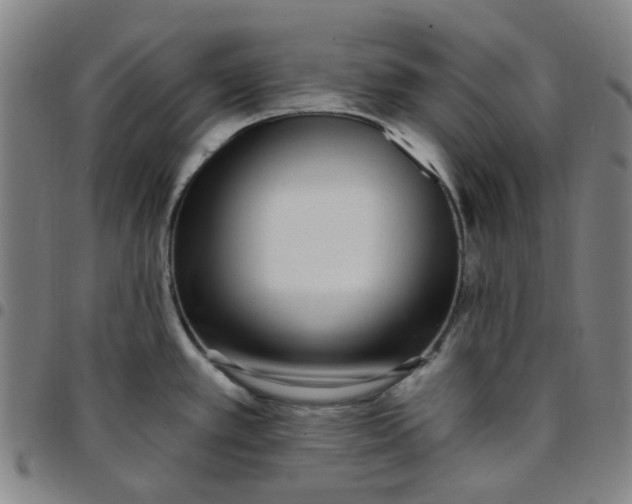 X0000097511389200803071815