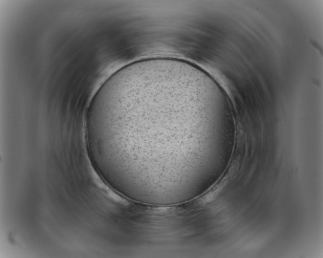 X0000097511390200803071815