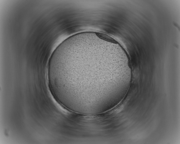 X0000097511391200803071815