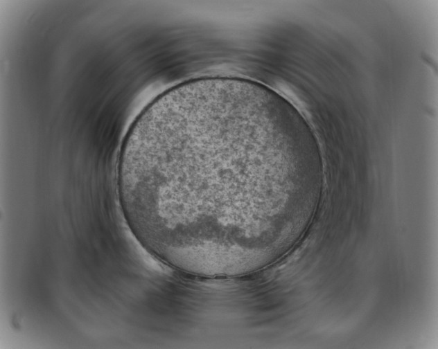 X0000097511392200803071815