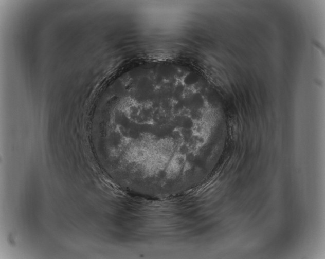 X0000097511393200803071814