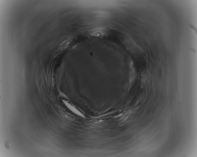 X0000097511394200803071814