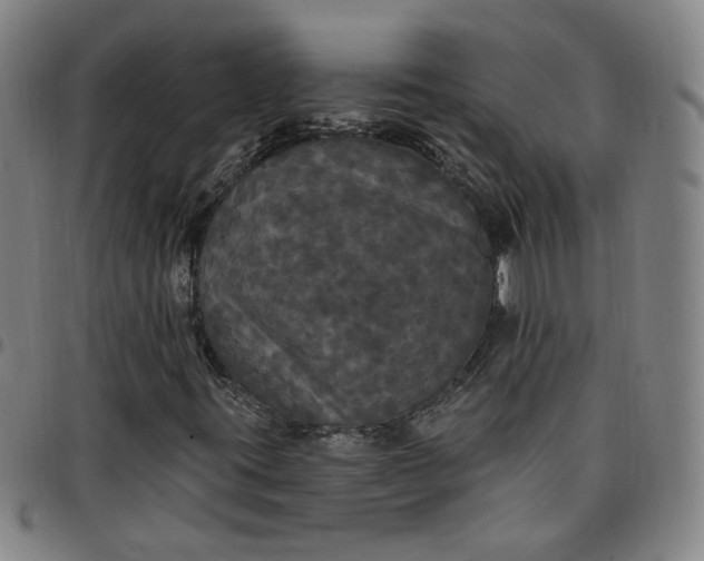 X0000097511395200803071814