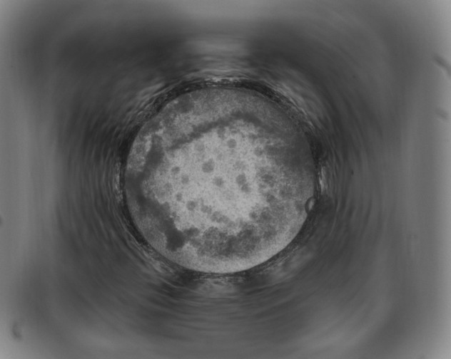 X0000097511396200803071814