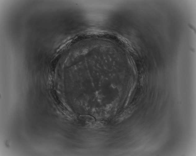 X0000097511397200803071814