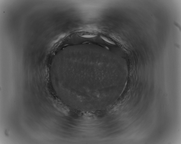 X0000097511398200803071814