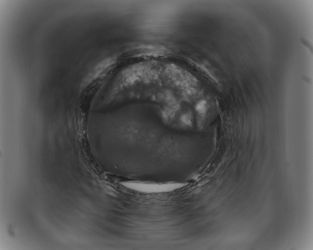 X0000097511399200803071814