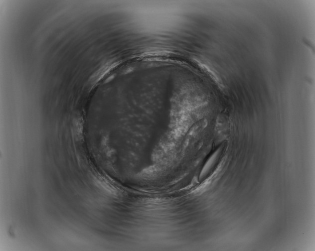 X0000097511401200803071814