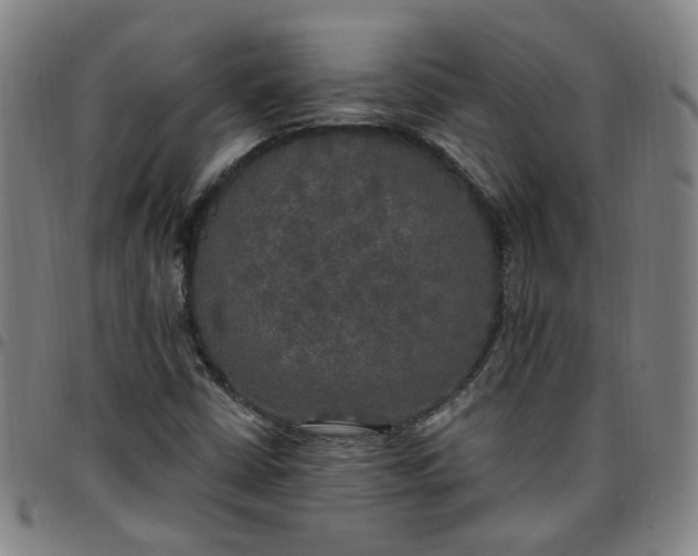 X0000097511402200803071814