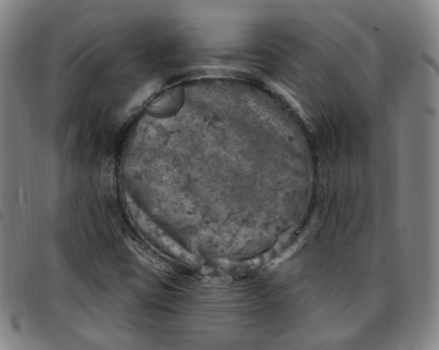 X0000097511403200803071814