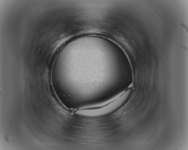 X0000097511404200803071814