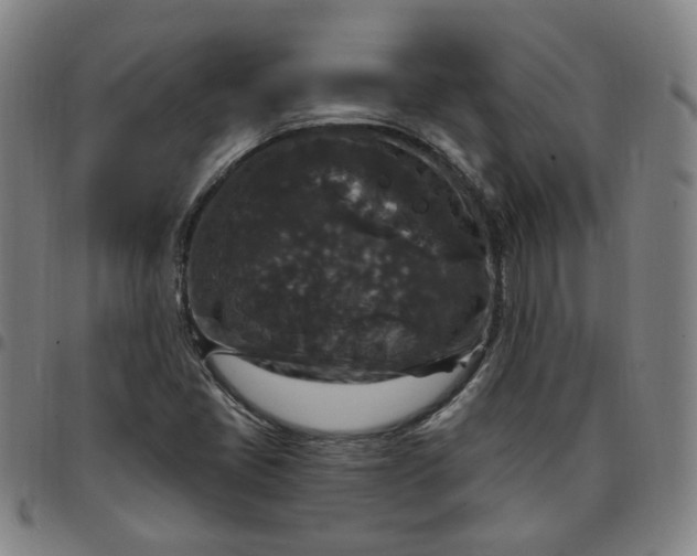 X0000097511405200803071814