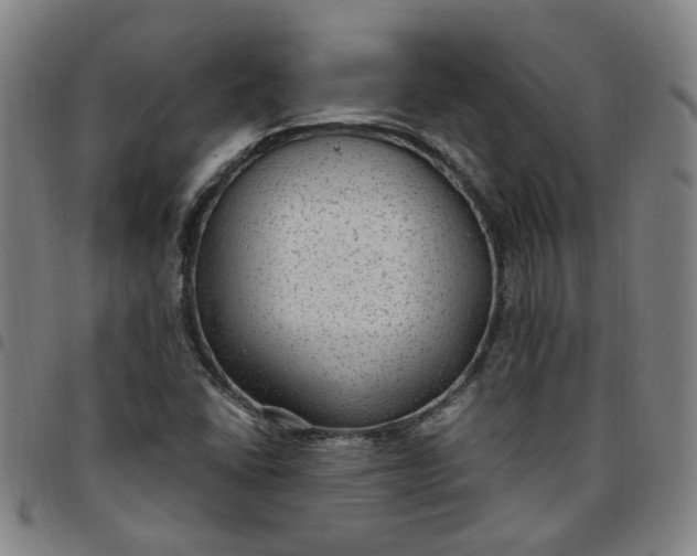 X0000097511406200803071814