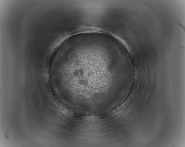 X0000097511407200803071814