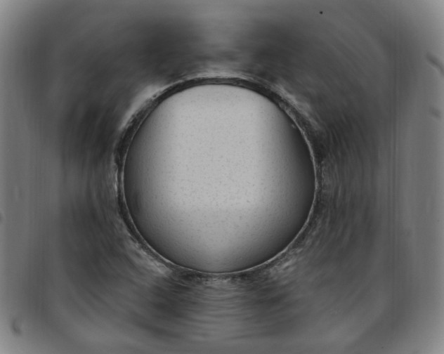 X0000097511408200803071814