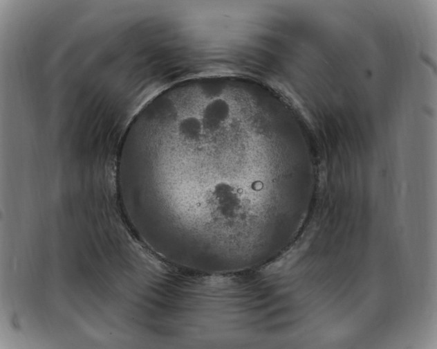 X0000097511409200803071814