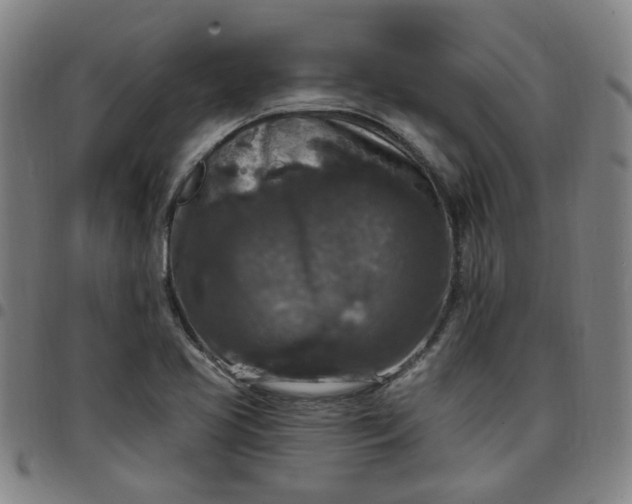 X0000097511413200803071814