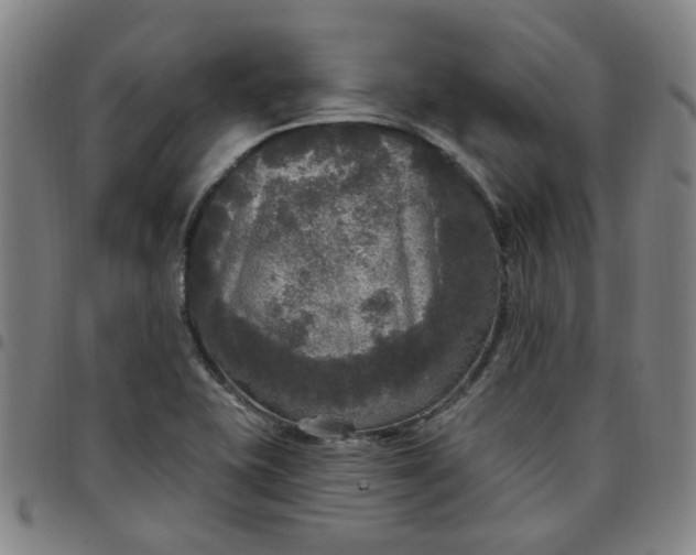 X0000097511415200803071814