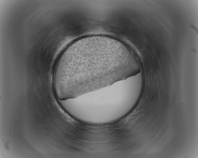 X0000097511416200803071814