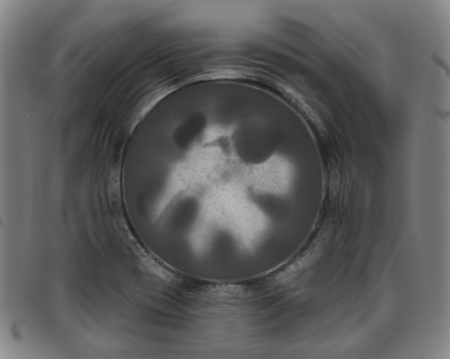 X0000097511417200803071814