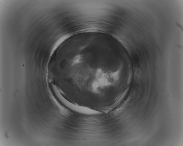 X0000097511418200803071814