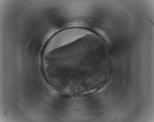 X0000097511419200803071814