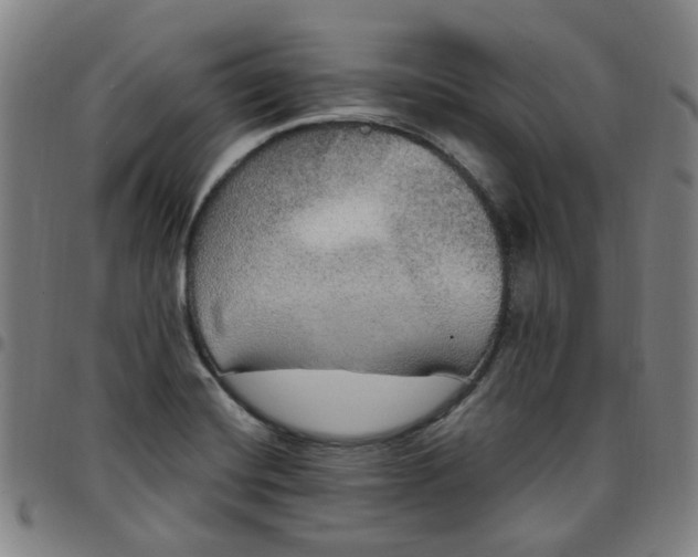 X0000097511420200803071814