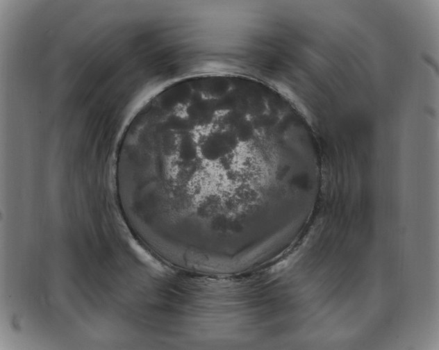 X0000097511421200803071814