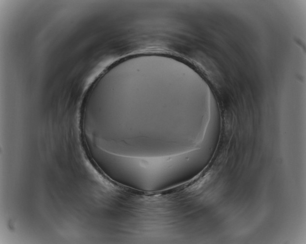 X0000097511422200803071814