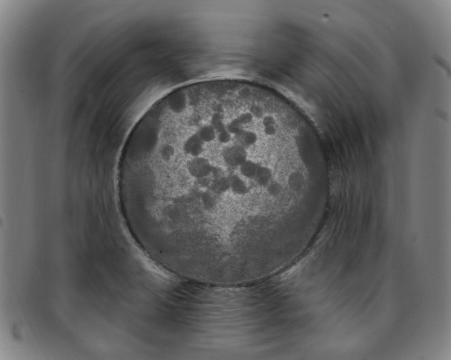 X0000097511423200803071814