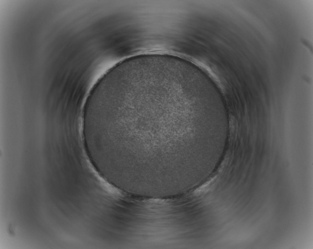 X0000097511424200803071814