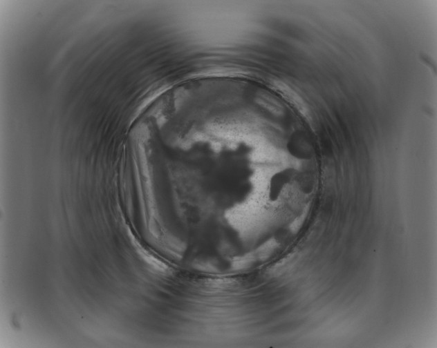 X0000097511425200803071814