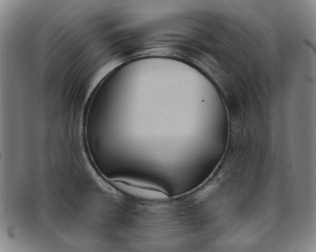 X0000097511426200803071814