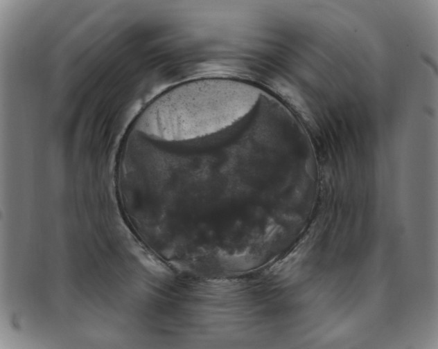 X0000097511427200803071814