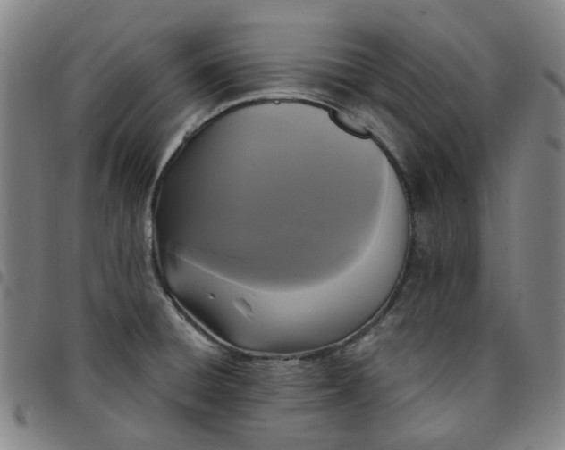 X0000097511428200803071814