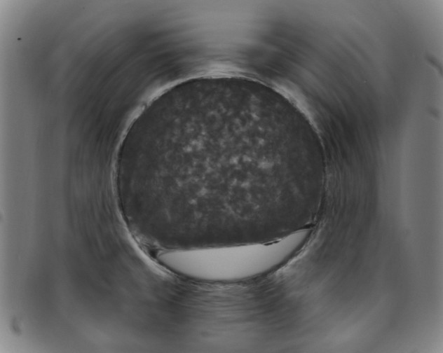 X0000097511429200803071814