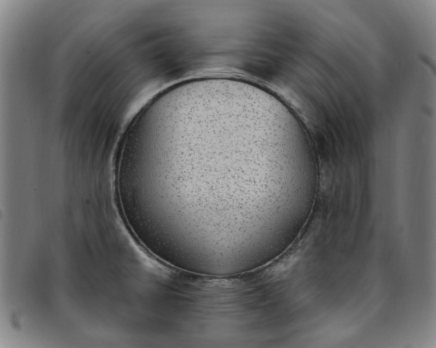 X0000097511430200803071814