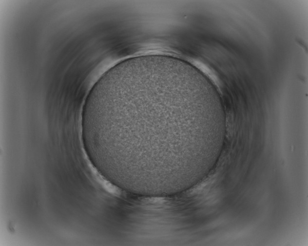 X0000097511431200803071814