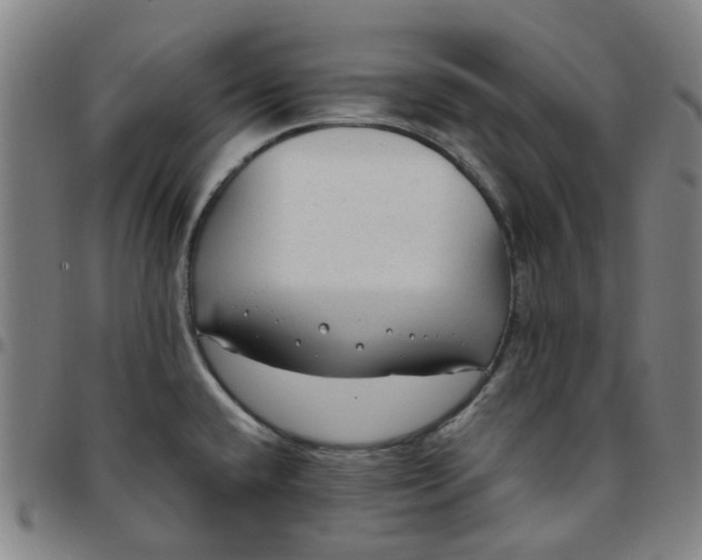 X0000097511432200803071814